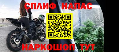 бошки Тверь
