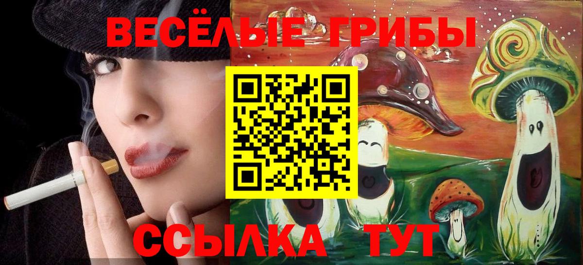Псилоцибиновые грибы ЛСД Миллерово