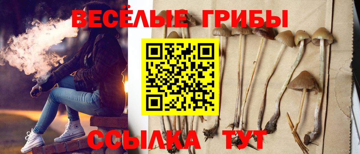 Галлюциногенные грибы GOLDEN TEACHER  Вход с VPN  Галлюциногенные грибы GOLDEN TEACHER  Миллерово 